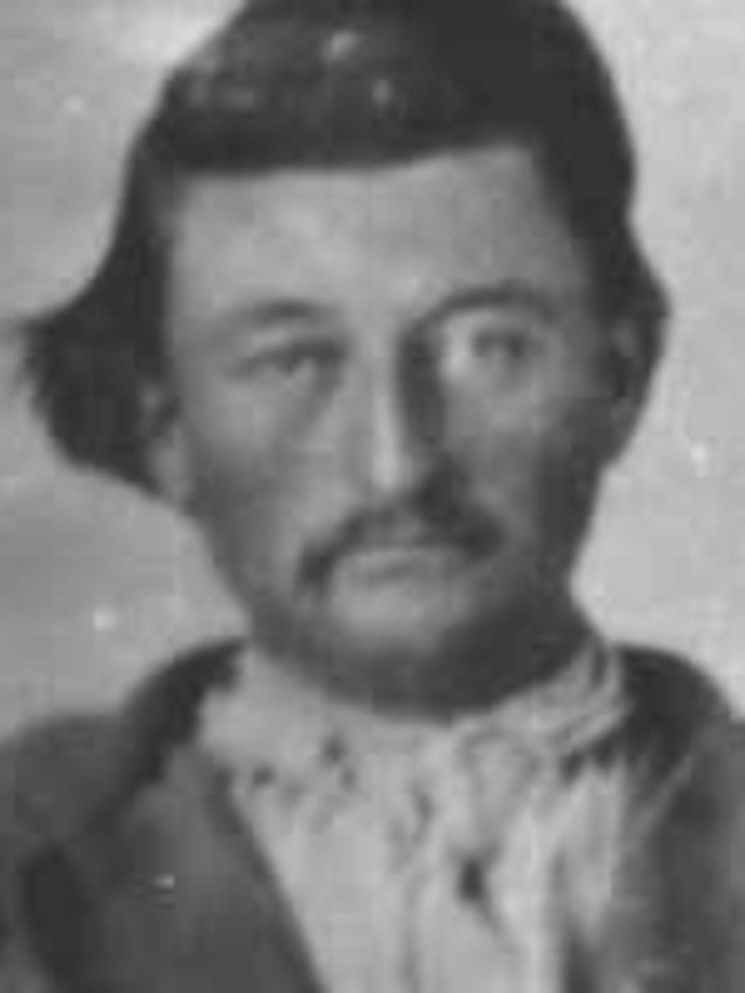 Almon Babbitt Palmer (1841 - 1915) Profile